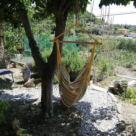 Apartma Salvia-guest House *