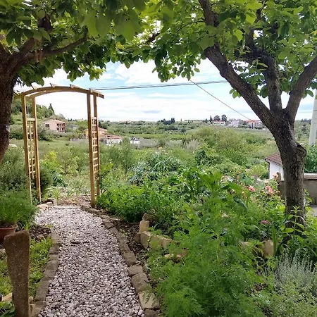 Apartma Salvia-guest House Apartment