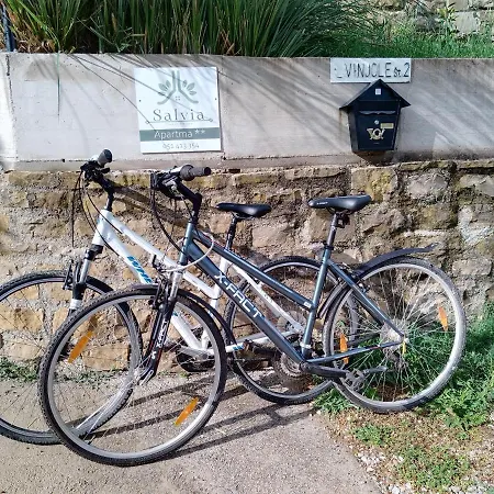 Apartma Salvia-guest House, Portoroz