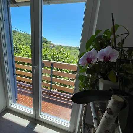 דירה Apartma Salvia-guest House, Portoroz *