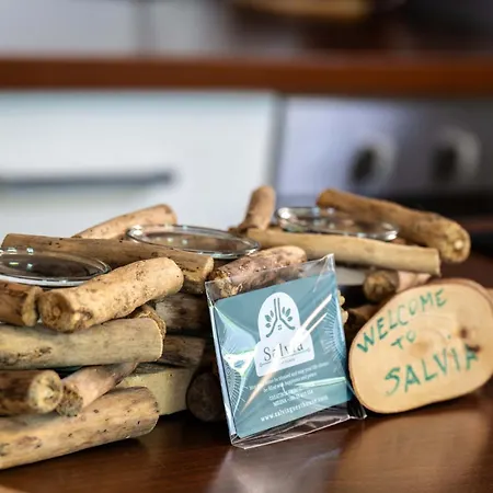 Apartma Salvia-guest House, Portoroz * לוסיה