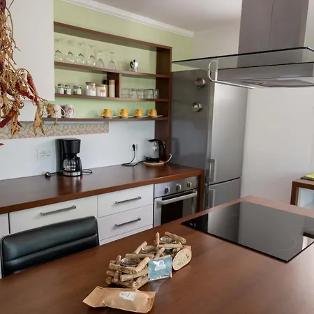 Apartma Salvia-guest House Apartment