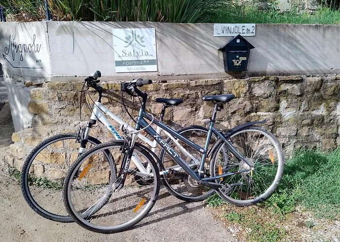 Apartma Salvia-guest House, Portoroz